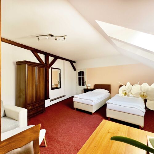Double Room with Shower