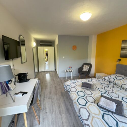 Deluxe Pokoj s klimatizací s manželskou postelí (s možností přistýlky)