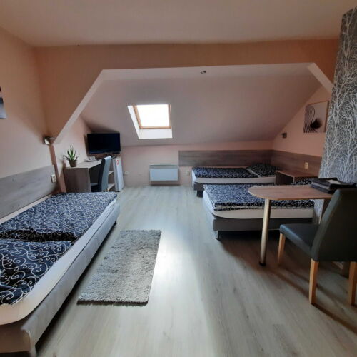 Pokoj se sprchou  pro 3 os.