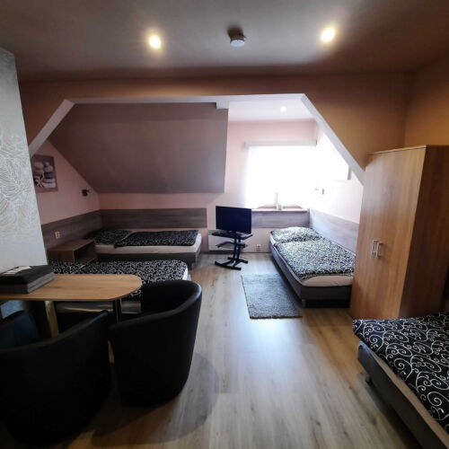 Pokoj se sprchou  pro 4 os.