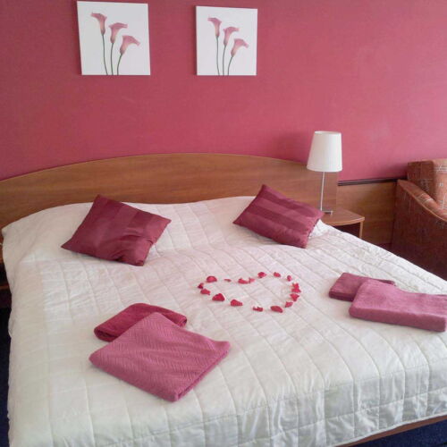 Camera dubla standard (se poate solicita pat suplimentar)