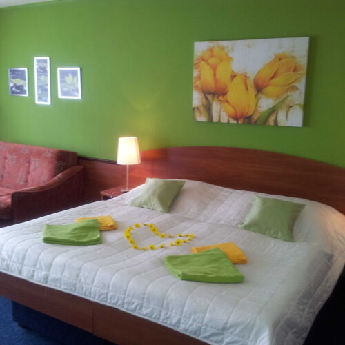 Camera dubla confort cu baie (se poate solicita pat suplimentar)