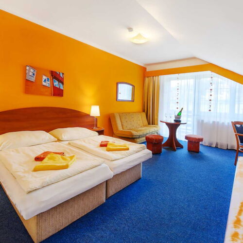 Camera dubla standard