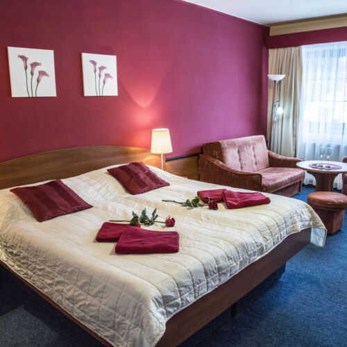 Camera dubla confort cu baie (se poate solicita pat suplimentar)