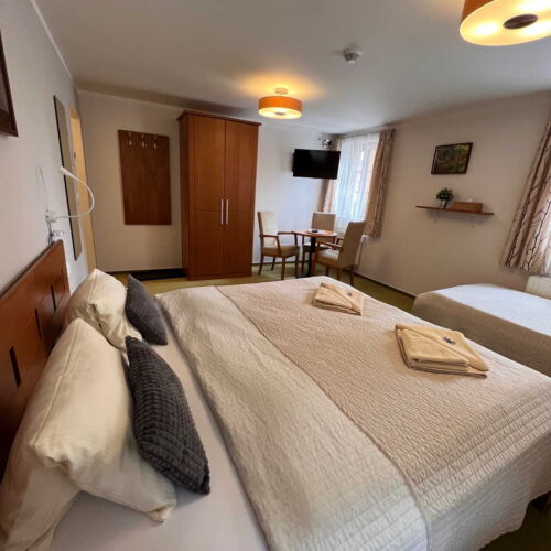 Pokoj se sprchou  pro 3 os.