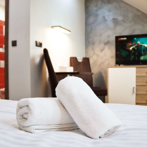 Komfort Pokoj se sprchou s manželskou postelí