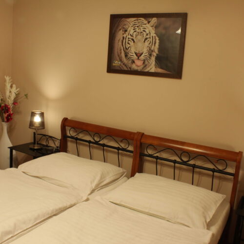 Pokoj se sprchou  s manželskou postelí