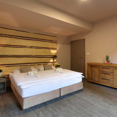 Studio Apartman se sprchou pro 4 os. (s možností přistýlky)