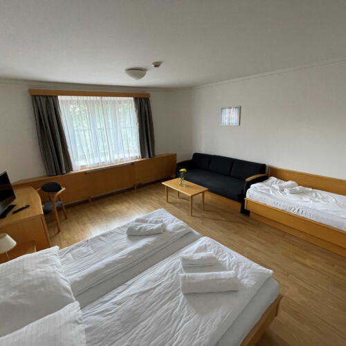 Pokoj pro 3 os. (s možností přistýlky)