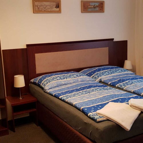 Pokoj se sprchou  s manželskou postelí