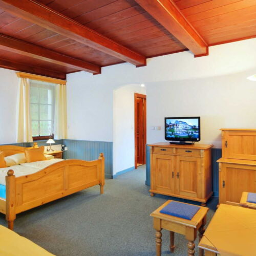 Double Room (extra bed available)