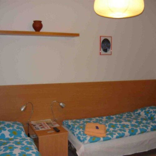 Apartament 1-osobowy Studio z prysznicem z 1 pomieszczeniem sypialnianym (możliwa dostawka)