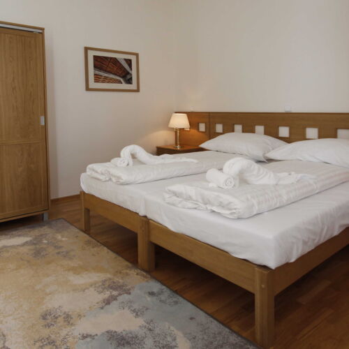 Pokoj se sprchou  pro 2 os. (s možností přistýlky)