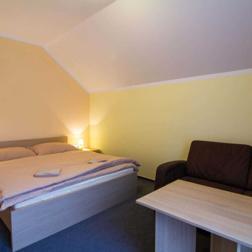 2-Room Apartment for 4 Persons with Shower and Kitchenette (extra bed available)