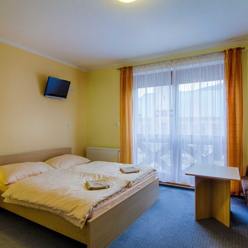 1-Room Apartment for 2 Persons with Shower and Kitchenette (extra bed available)