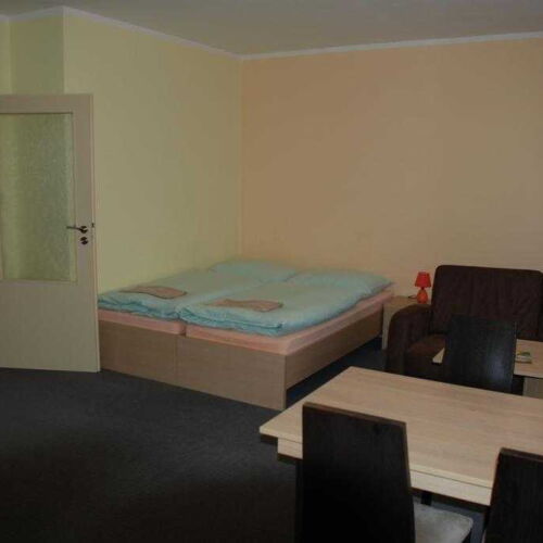 2-Room Apartment for 4 Persons with Shower and Kitchenette (extra bed available)