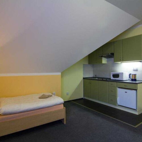1-Room Apartment for 3 Persons with Shower and Kitchenette (extra bed available)