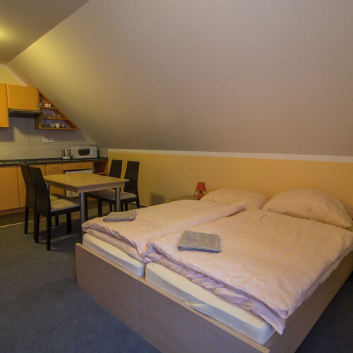 2-Room Apartment for 4 Persons with Shower and Kitchenette (extra bed available)