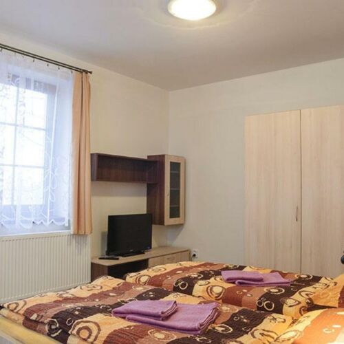 Apartament cu 1 camera pentru 2 pers. (se poate solicita pat suplimentar)