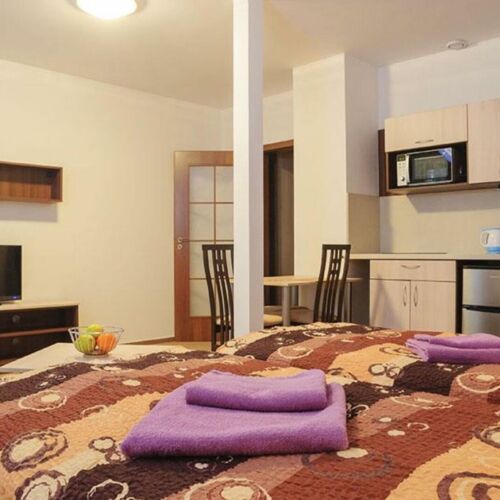 Apartament cu 1 camera pentru 3 pers. (se poate solicita pat suplimentar)
