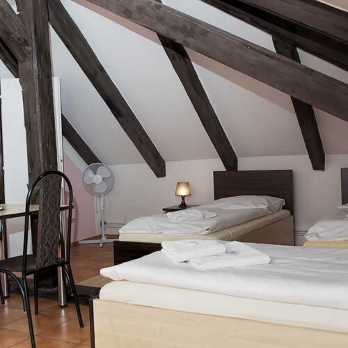 Standard Pokoj se sprchou pro 4 os.