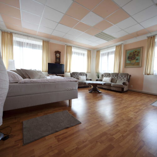 Apartman se sprchou s vlastní kuchyňkou s manželskou postelí s 1 ložnicí