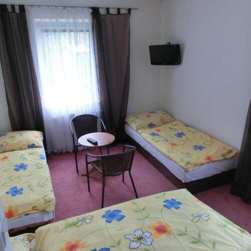 Pokoj se sprchou  pro 3 os.