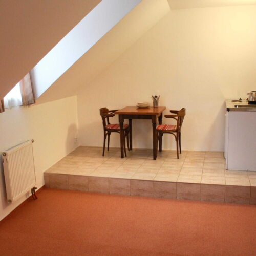 Pokoj se sprchou s vlastní kuchyňkou pro 3 os.