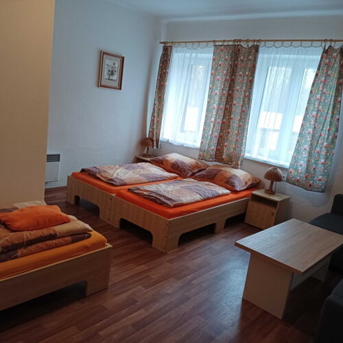 Camera tripla cu duș (se poate solicita pat suplimentar)