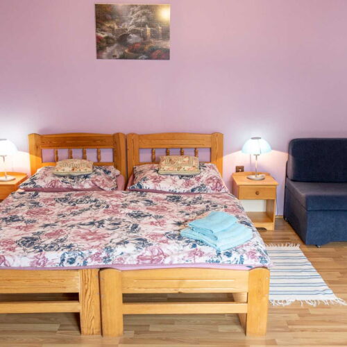 Pokoj se sprchou  s manželskou postelí (s možností přistýlky)