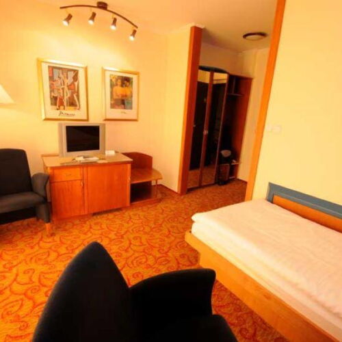 Pokoj se sprchou  pro 1 os.