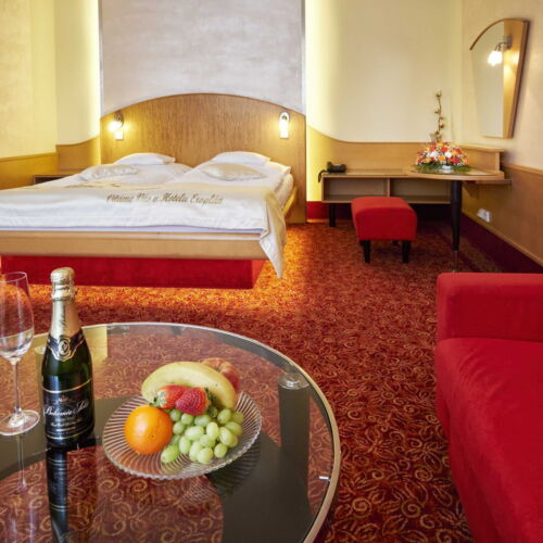 Pokoj se sprchou  pro 2 os.