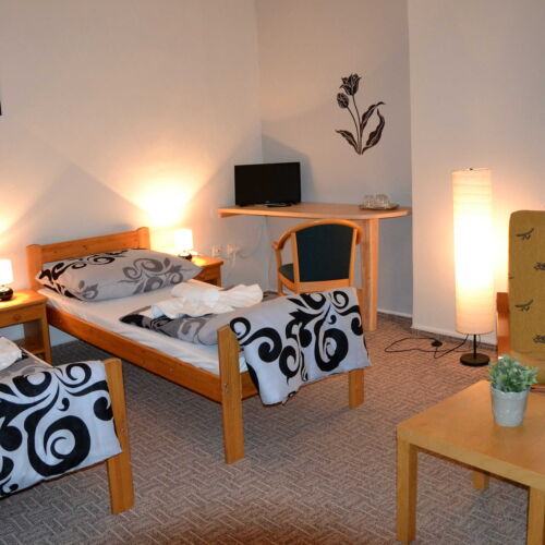 Camera tripla cu duș