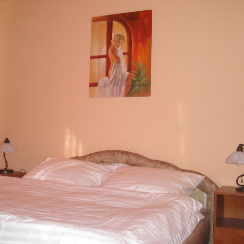 Pokoj se sprchou  s manželskou postelí