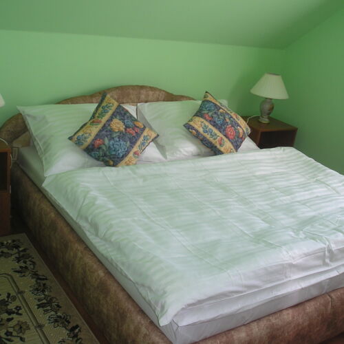 Pokoj s klimatizací se sprchou pro 4 os.