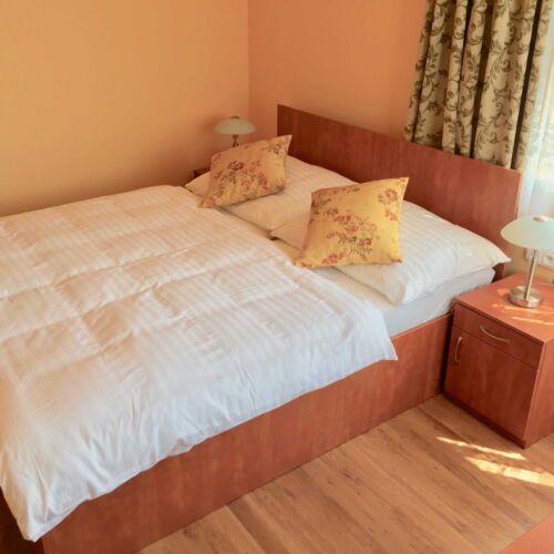 Pokoj s klimatizací se sprchou s manželskou postelí