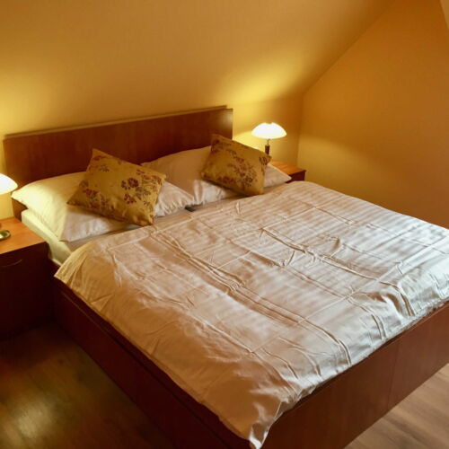 Pokoj s klimatizací se sprchou s manželskou postelí (s možností přistýlky)