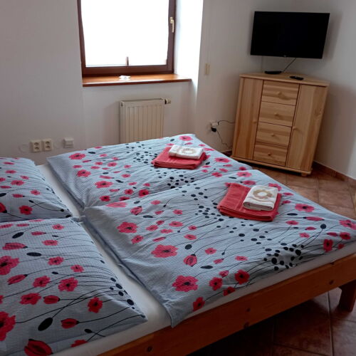 1-Room Apartment for 2 Persons with Shower and Kitchenette (extra bed available)