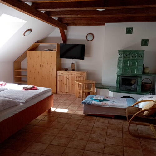 1-Room Apartment for 2 Persons with Shower and Kitchenette (extra bed available)