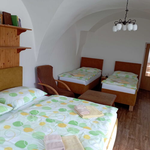 1-Room Apartment for 4 Persons with Shower and Kitchenette (extra bed available)