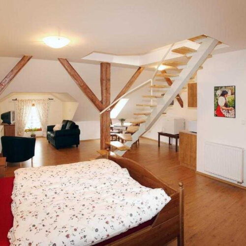 Pokoj se sprchou s vlastní kuchyňkou pro 3 os. (s možností přistýlky)