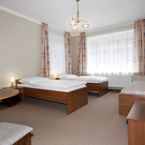 Pokoj se sprchou  pro 3 os.