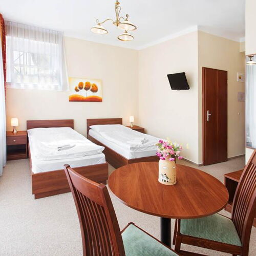 Pokoj se sprchou  pro 2 os.