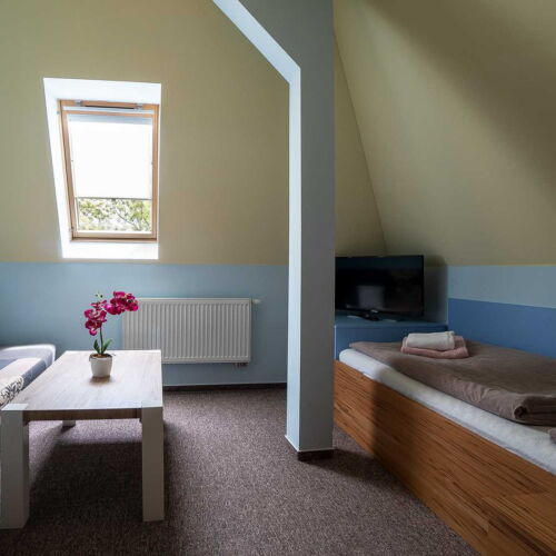 Pokoj se sprchou  pro 1 os.