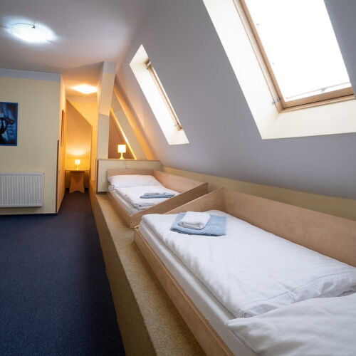 Pokoj se sprchou  pro 3 os.