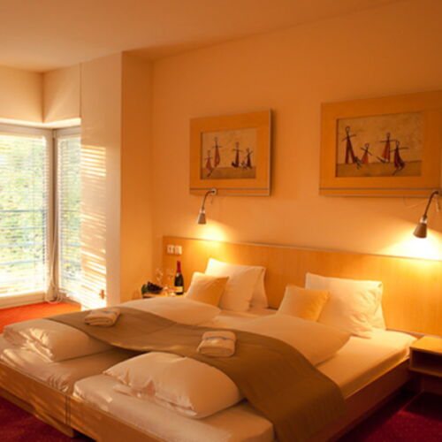 Standard Twin Room with Shower