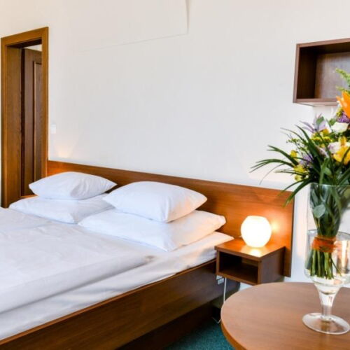 Economy Double Room