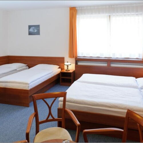 Standard Quadruple Room