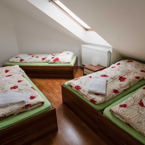 Apartman se sprchou s vlastní kuchyňkou pro 6 os. s 1 ložnicí