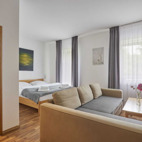 Camera dubla deluxe cu balcon (se poate solicita pat suplimentar)